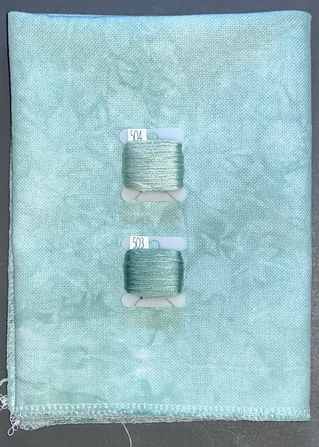 25ct lugana - 18x27 - June 2024 FOTM