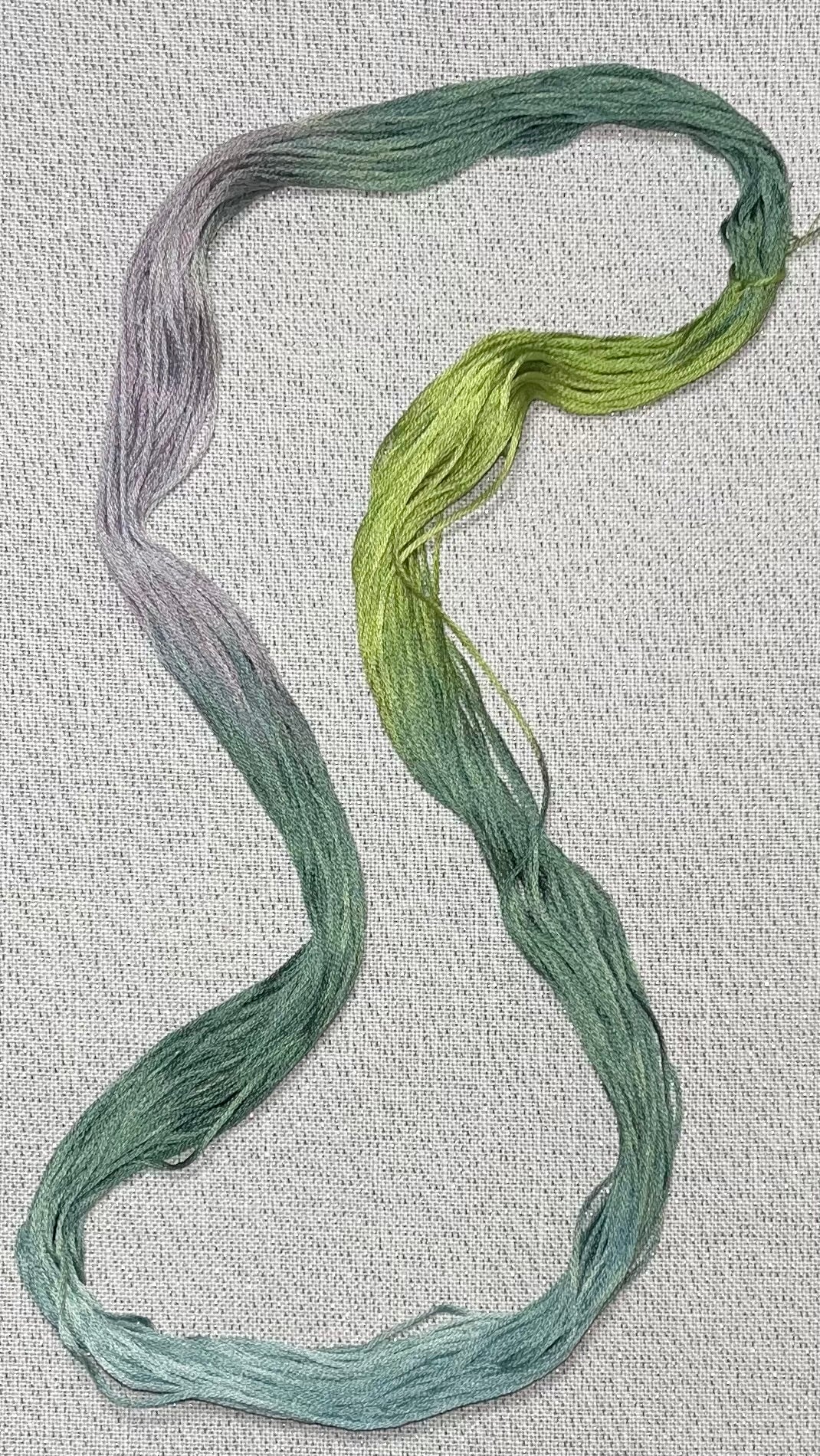 Cotton hand dyed floss - Pine Ridge