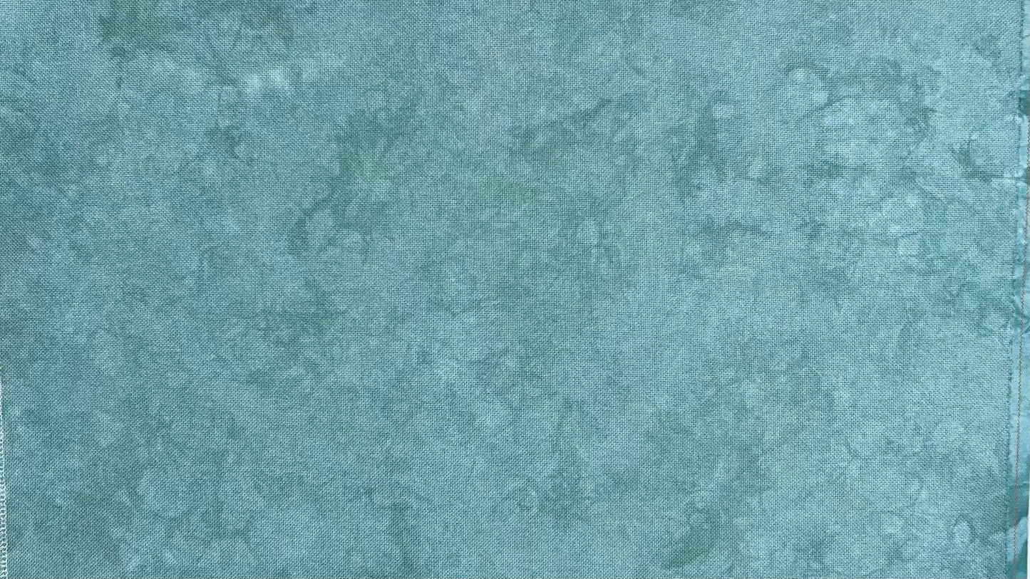 20ct lugana - 18x27 - March 2024 FOTM
