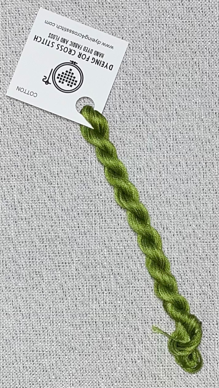 Cotton hand dyed floss - Fern