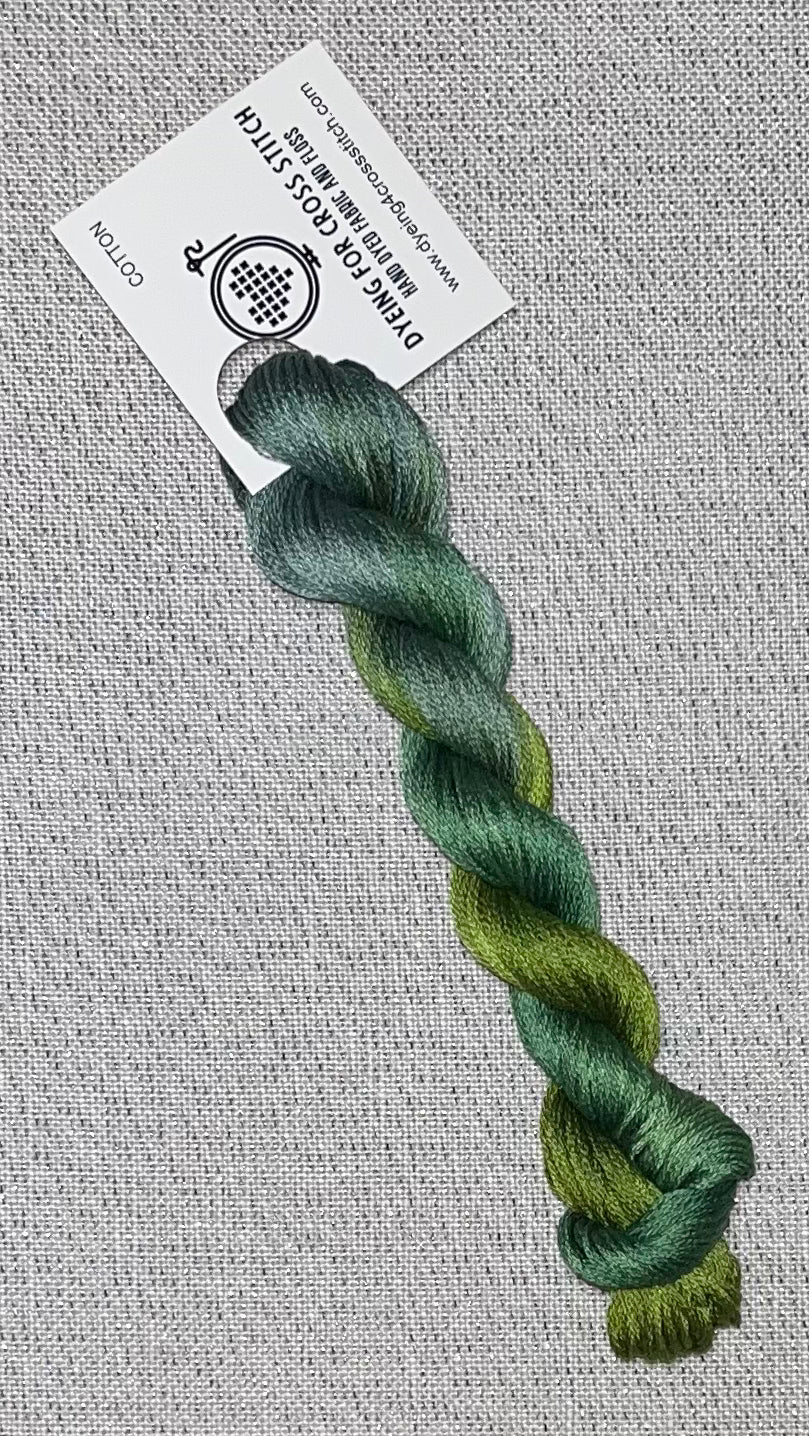 Cotton hand dyed floss - Woodland