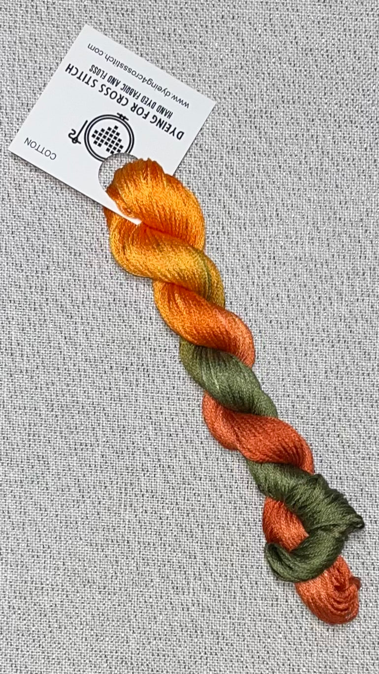 Cotton hand dyed floss - Earthwalker