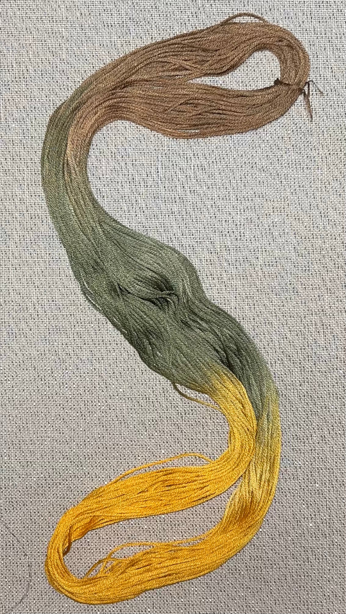 Cotton hand dyed floss - Sunflower