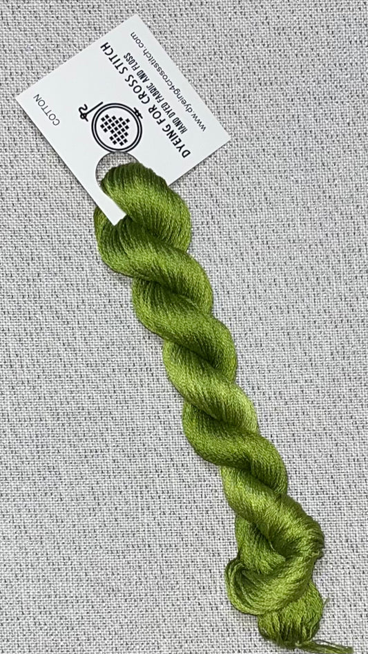 Cotton hand dyed floss - Fern