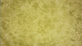 32ct linen opal - 18x27 - Moss - Light - Dyeing for Cross Stitch