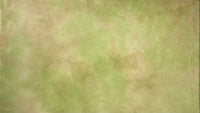 Aida - Willow - Dyeing for Cross Stitch