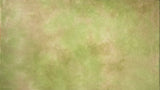Aida - Willow - Dyeing for Cross Stitch