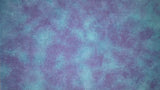 Evenweave - Midsummer's Dream - Dyeing for Cross Stitch